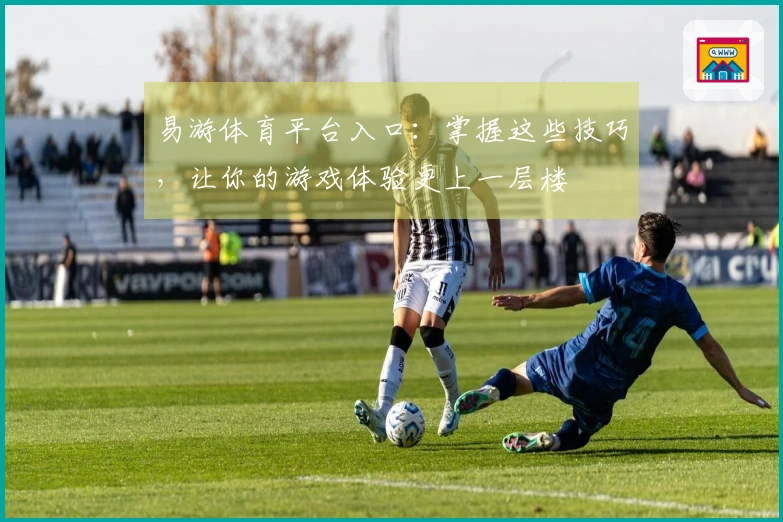 易游体育平台入口：掌握这些技巧，让你的游戏体验更上一层楼