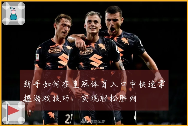 新手如何在皇冠体育入口中快速掌握游戏技巧，实现轻松胜利