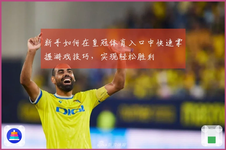 新手如何在皇冠体育入口中快速掌握游戏技巧，实现轻松胜利