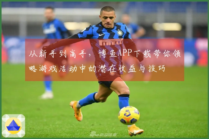 从新手到高手，博鱼APP下载带你领略游戏活动中的潜在收益与技巧